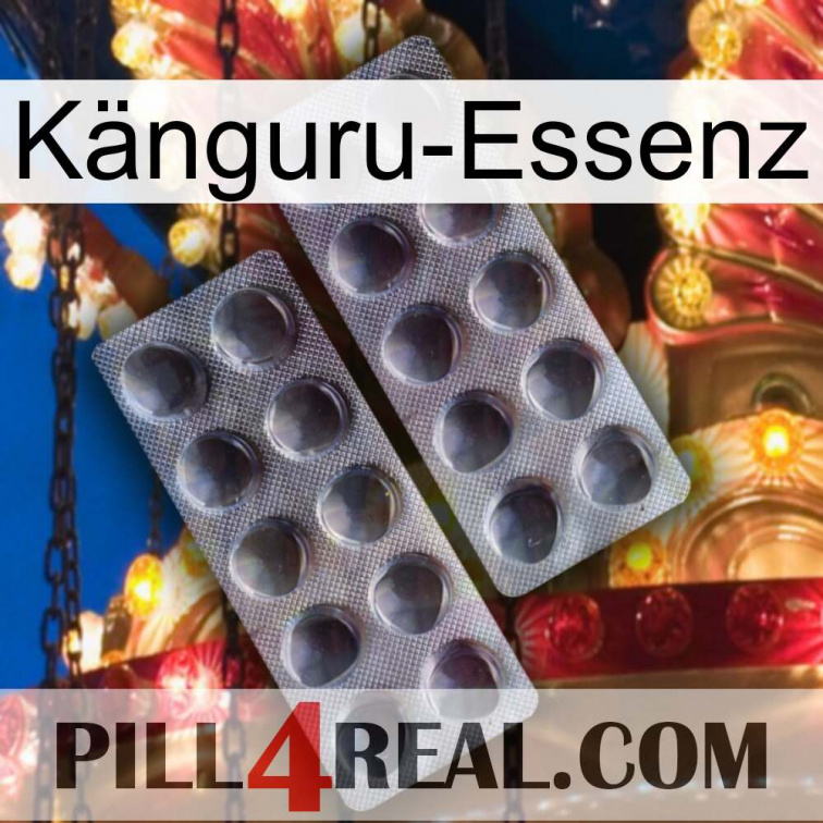 Känguru-Essenz 31